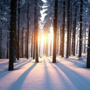 Meet your Posher, Alison